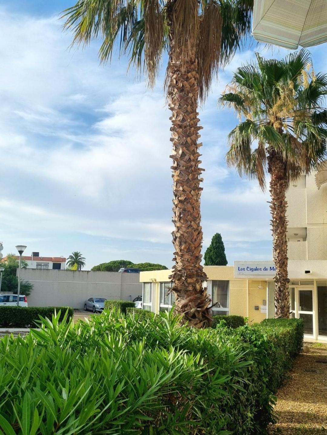 100 M De La Plage - Les Cigales De Mer - Studio Cabine - Parking Le Grau-du-Roi Luaran gambar